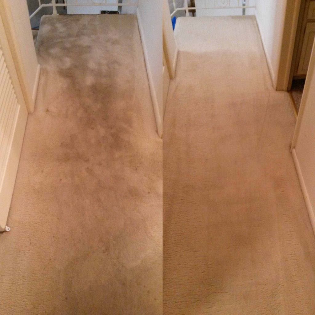 Carpet Cleaning York PA 7178482064