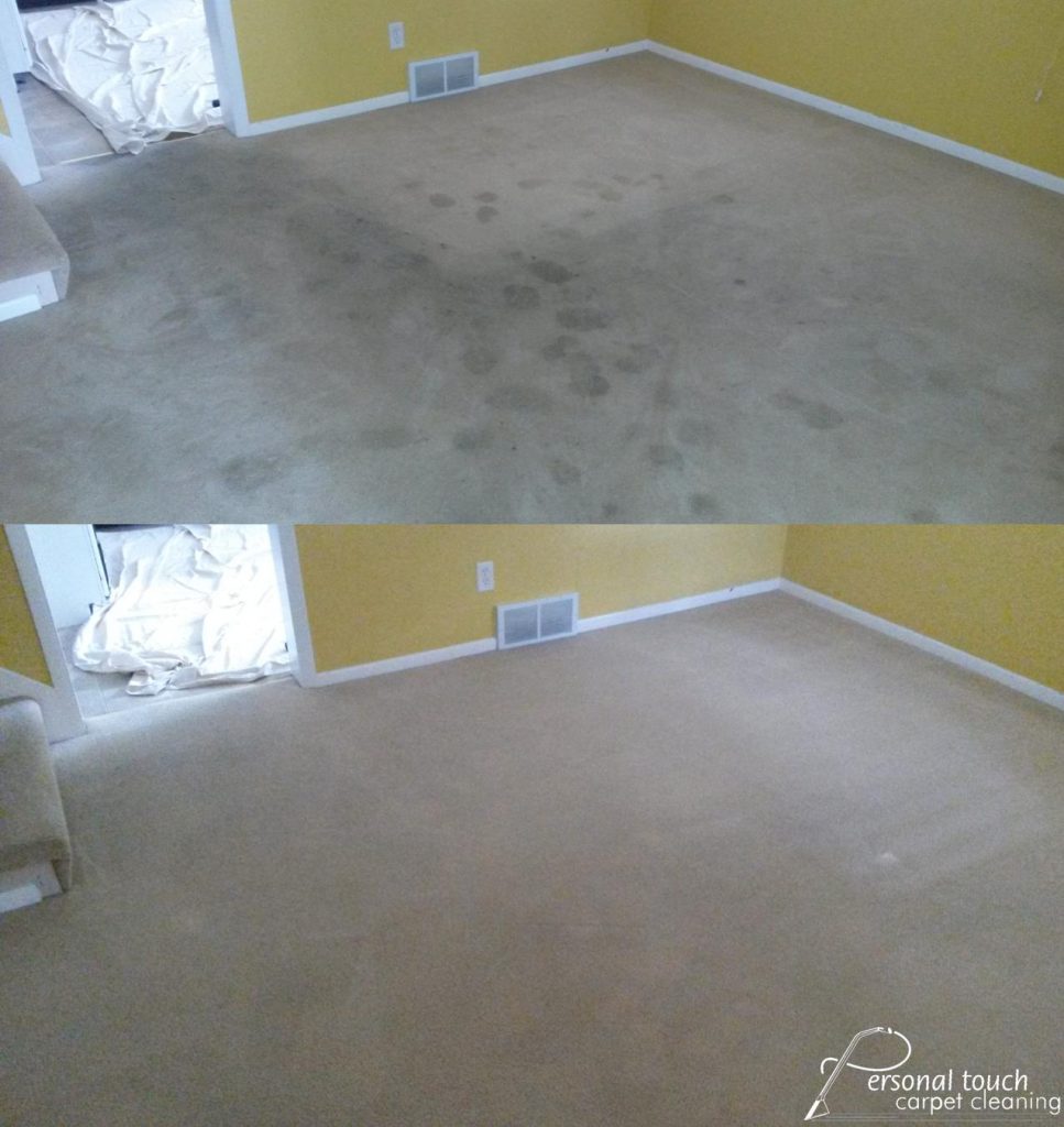 Carpet Cleaning York PA 7178482064